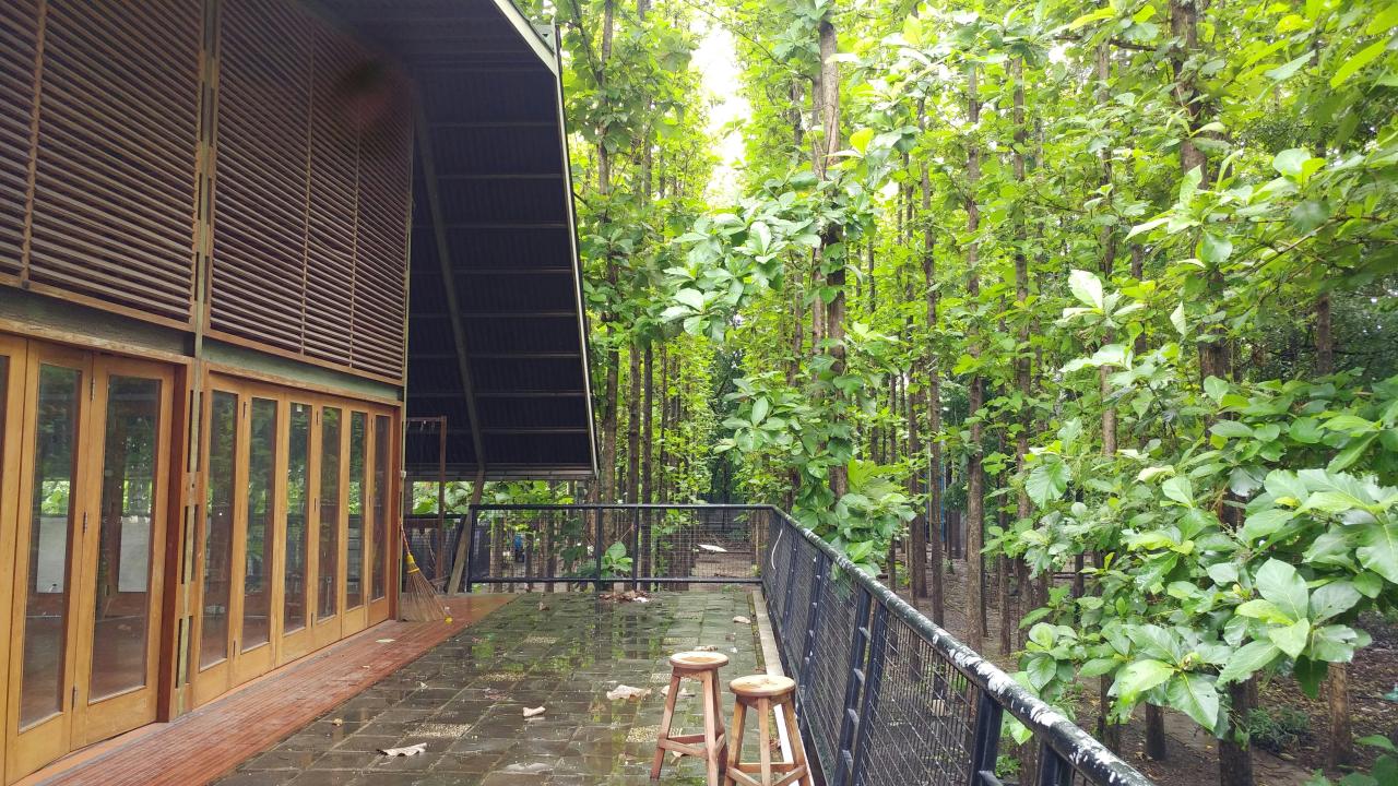 a wooden building surrounded by lush green trees