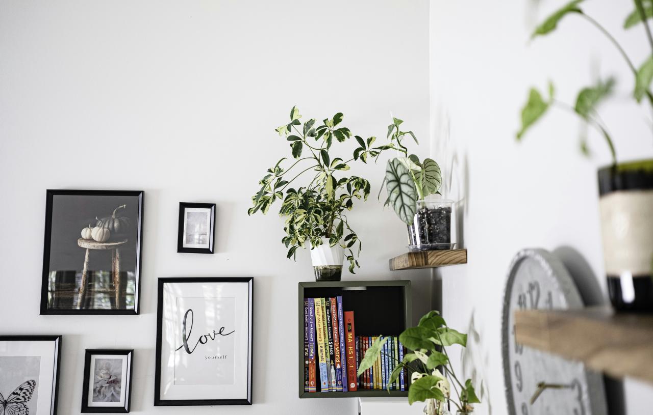 Wall art and plants displayed on shelves